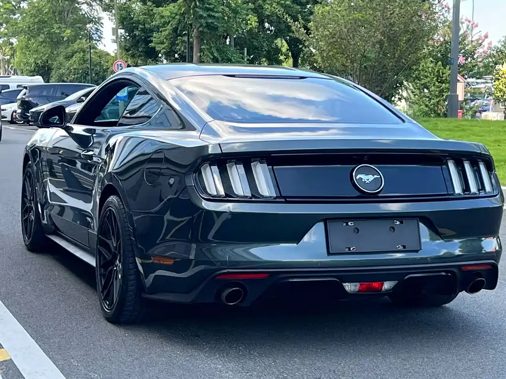 Ford Mustang — миниатюра 10