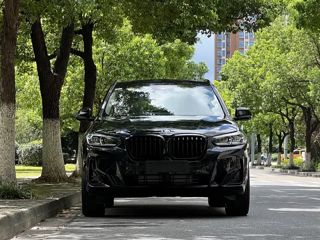 BMW X3 — миниатюра 2