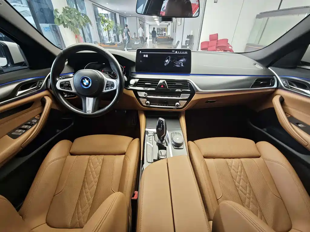 BMW 5 Series (Import) — миниатюра 6