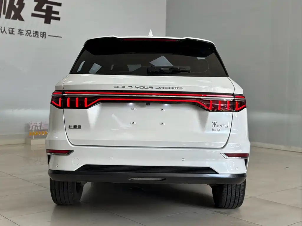 BYD Pro New Energy — миниатюра 7