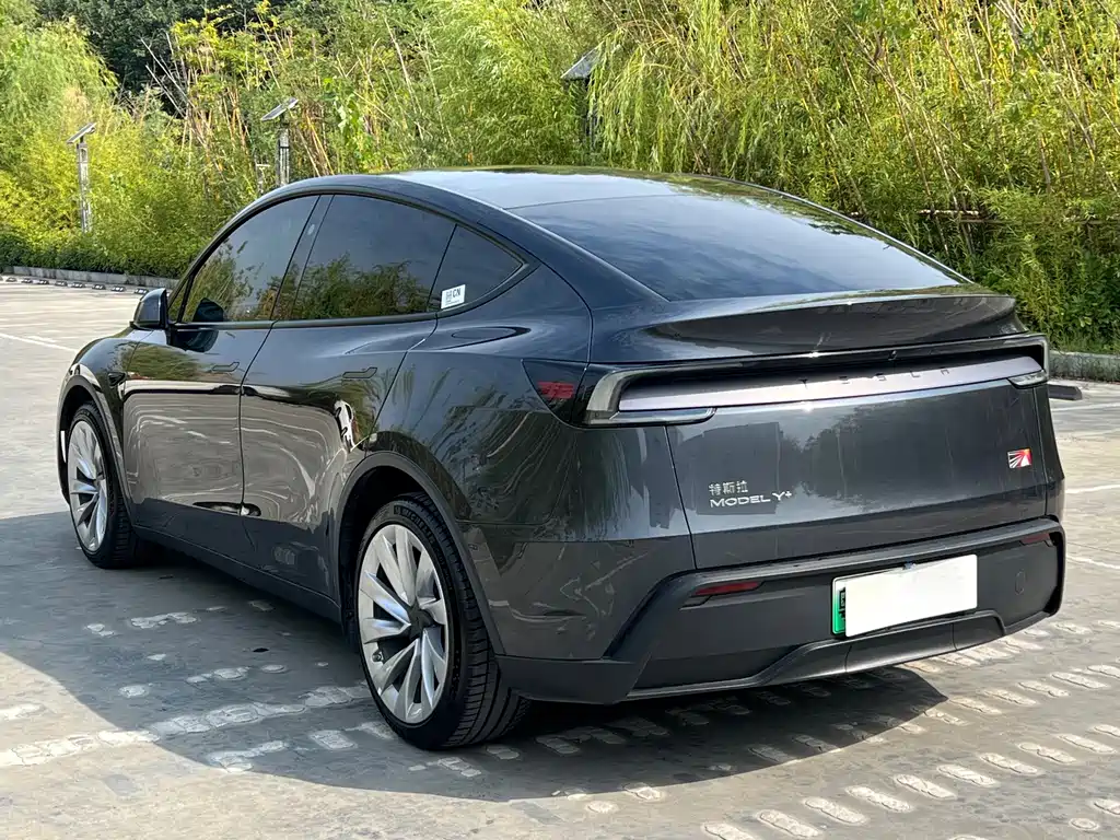 Tesla Model Y — миниатюра 7