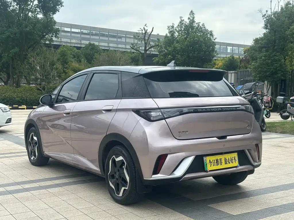 BYD Dolphin — миниатюра 5