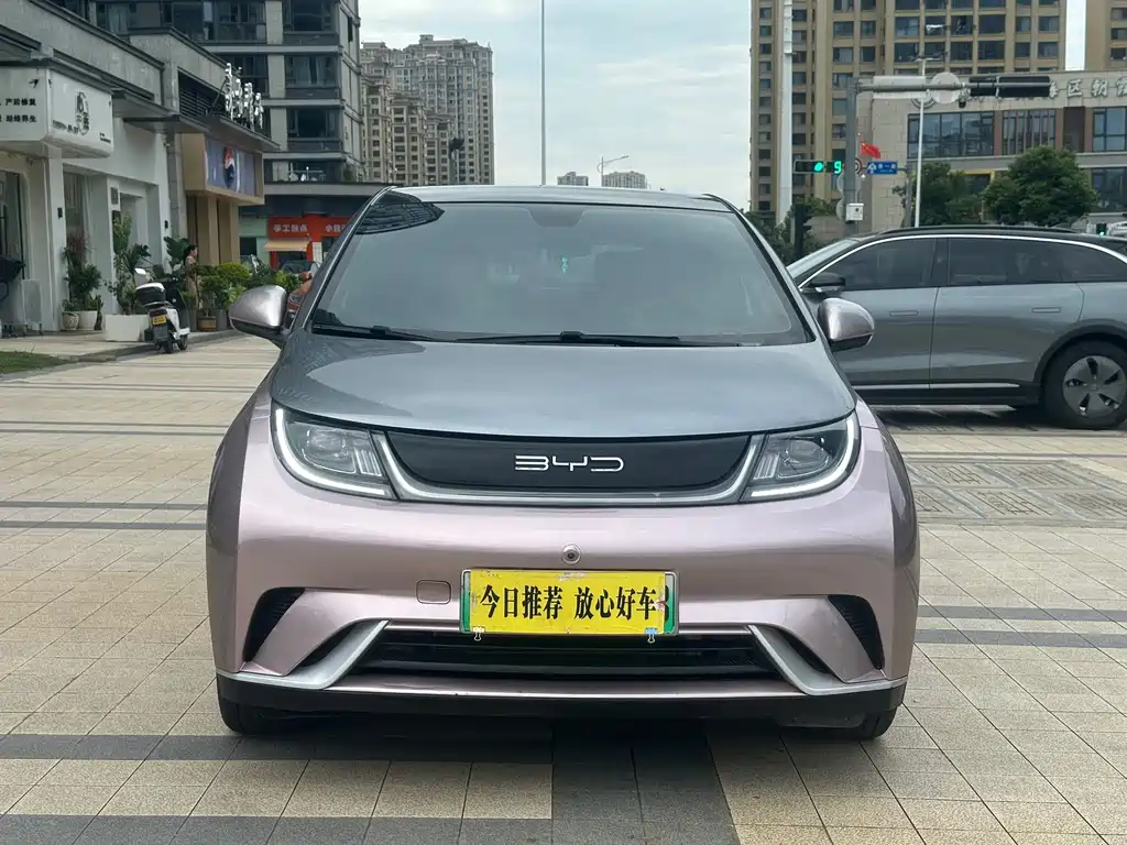 BYD Dolphin — миниатюра 2