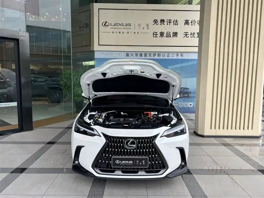 Lexus NX New Energy — миниатюра 3