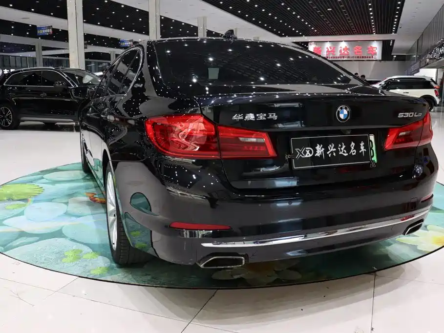 BMW 5 Series New Energy — миниатюра 4
