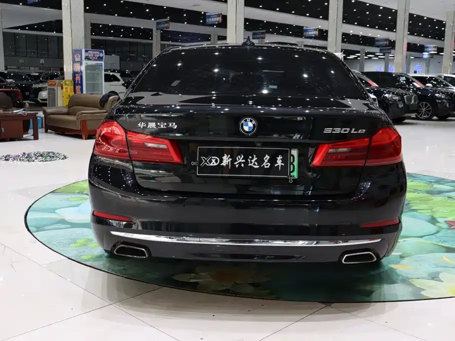 BMW 5 Series New Energy — миниатюра 5