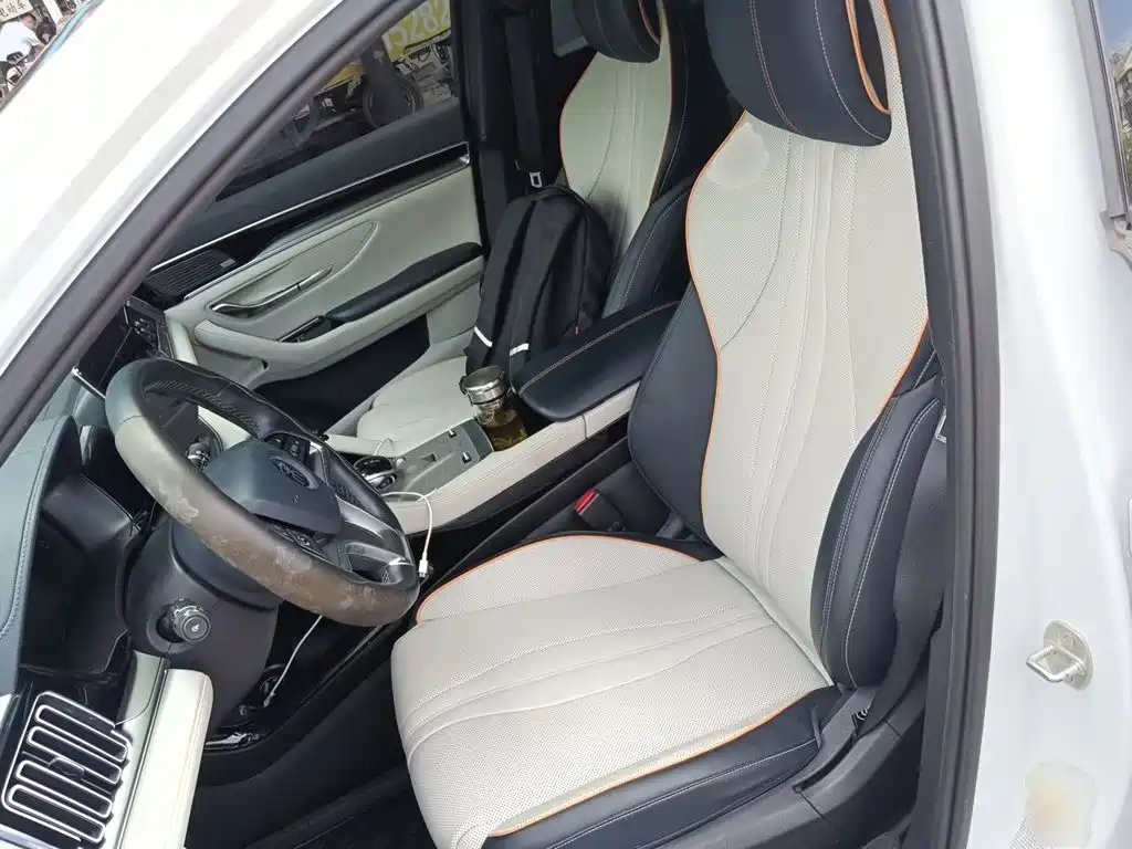 BYD PLUS New Energy — миниатюра 12