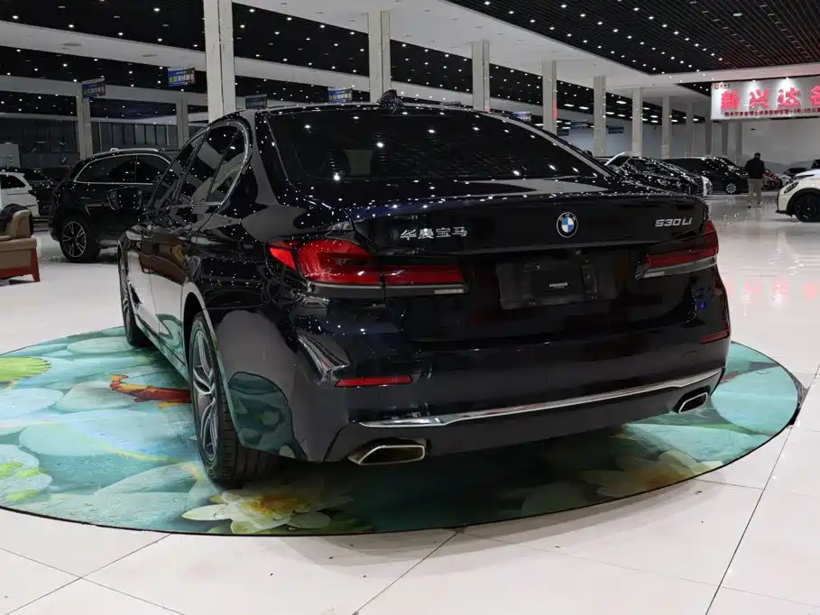 BMW 5 Series — миниатюра 4