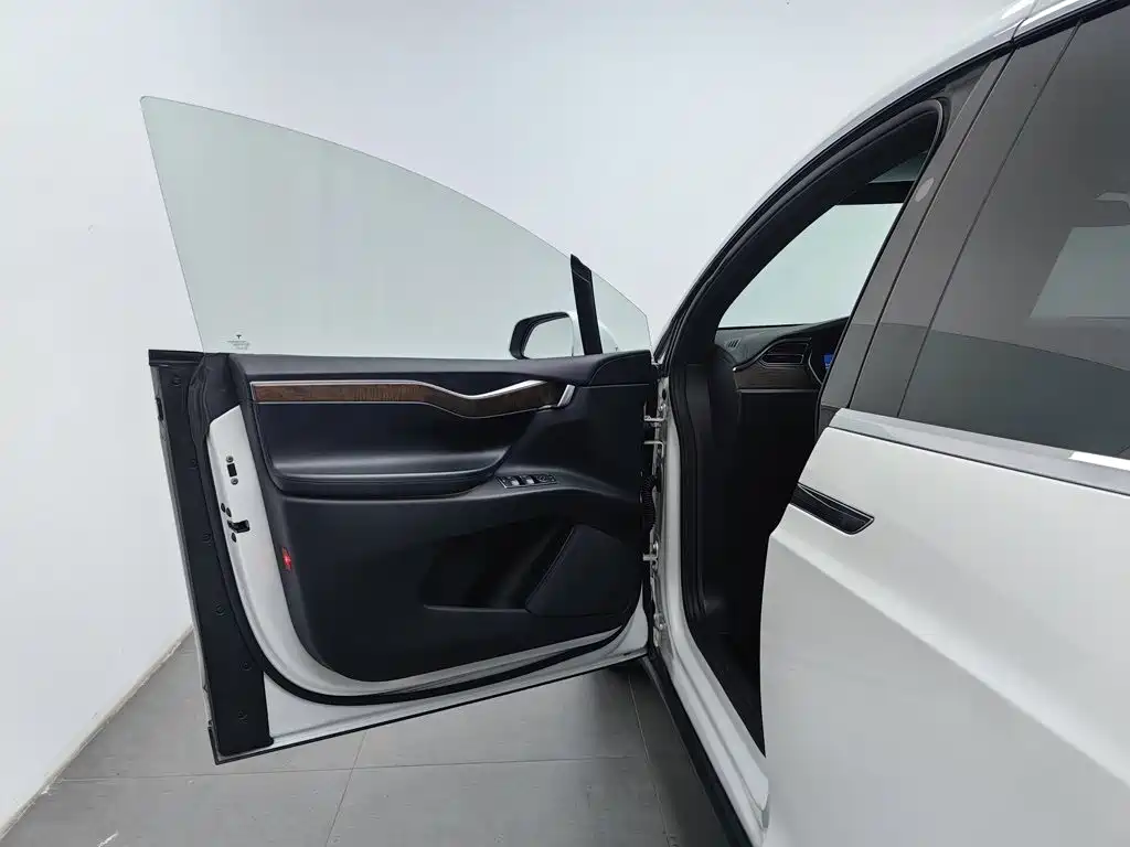 Tesla Model X — миниатюра 8