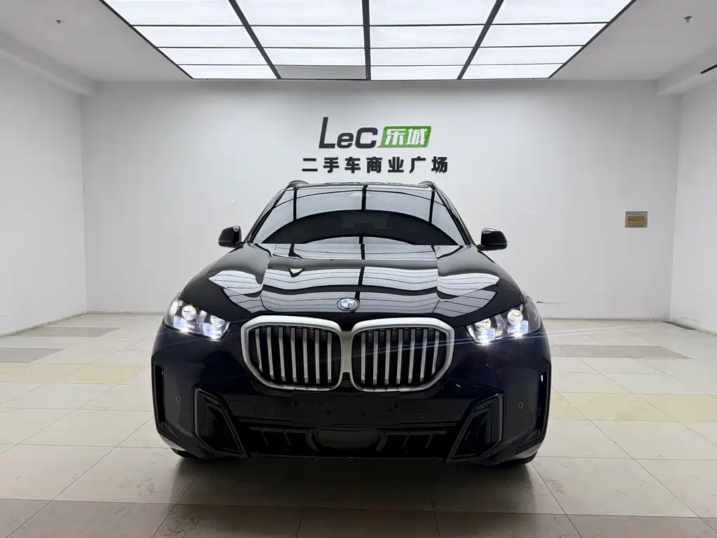 BMW X5 — миниатюра 3