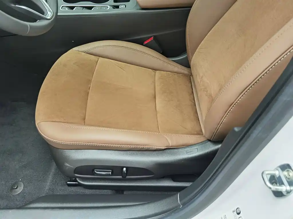 Buick Regal — миниатюра 20