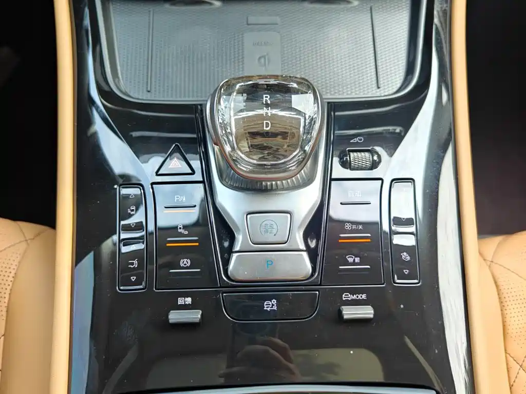 Denza Denza D9 — миниатюра 9