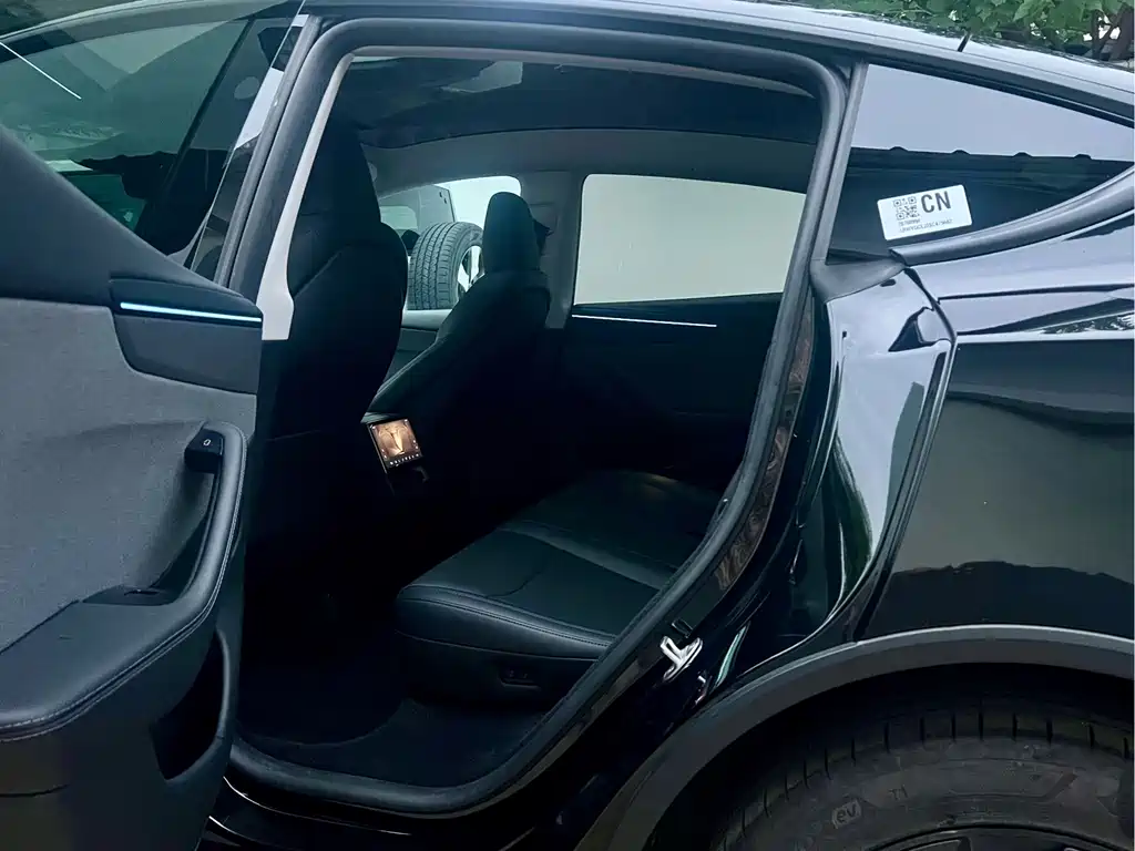 Tesla Model Y — миниатюра 8