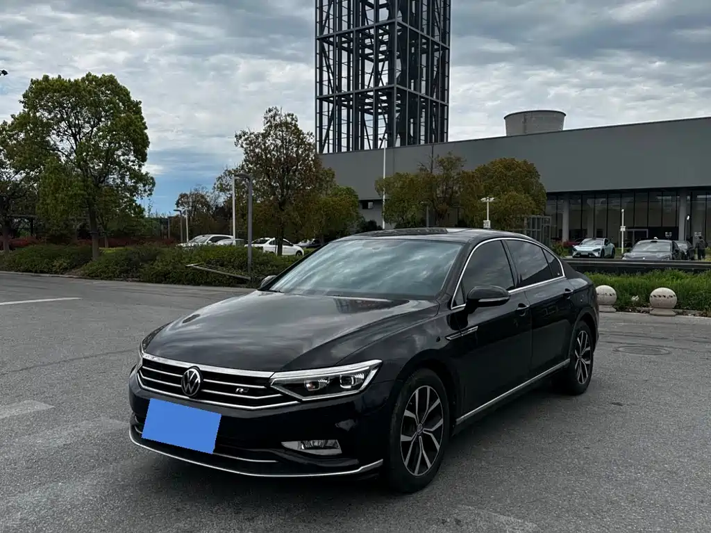 Volkswagen Magotan 2020 330TSI DSG Luxury