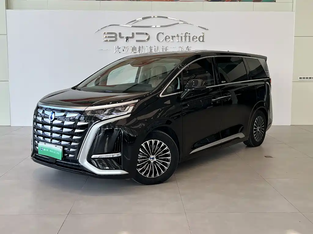 Denza Denza D9