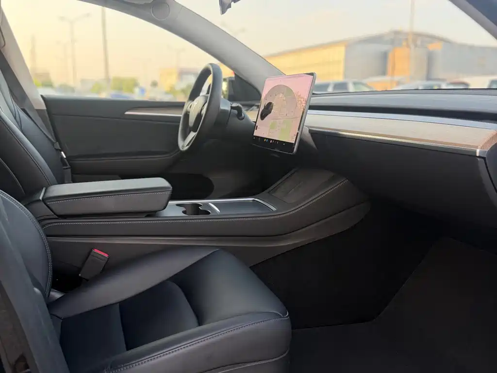 Tesla Model Y — миниатюра 8