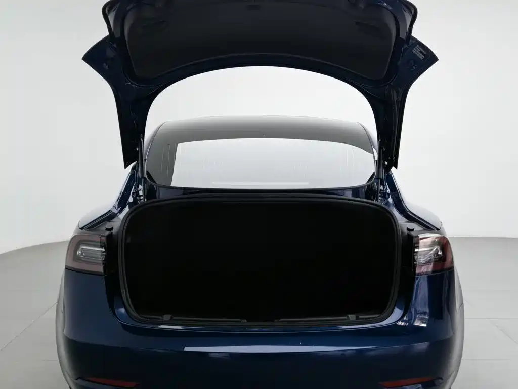 Tesla Model 3 — миниатюра 16