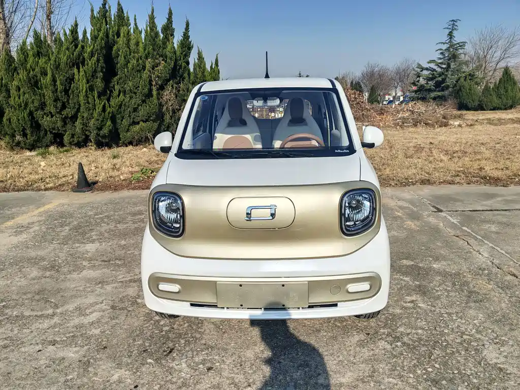 BESTUNE PENTIUM PONY