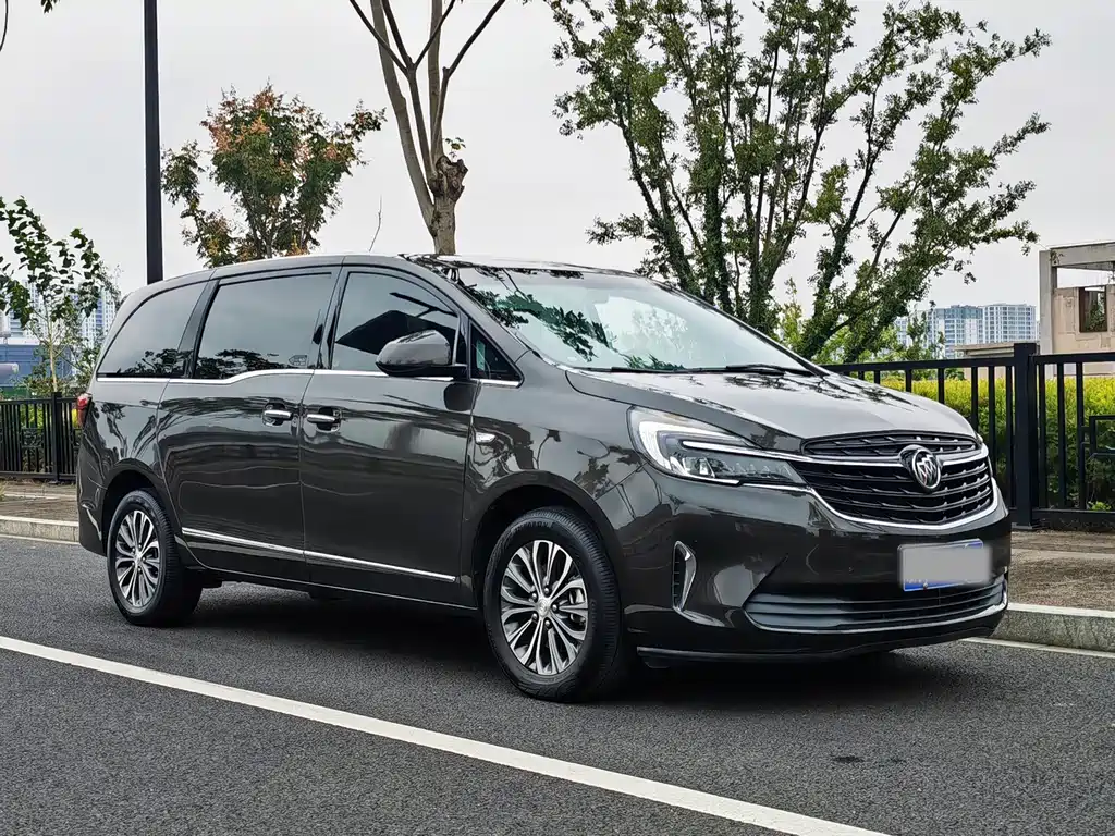 Buick GL8 — миниатюра 3
