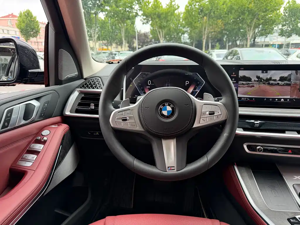 BMW X5 — миниатюра 12