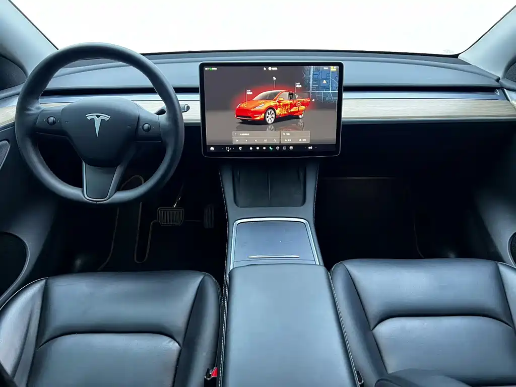 Tesla Model Y — миниатюра 6