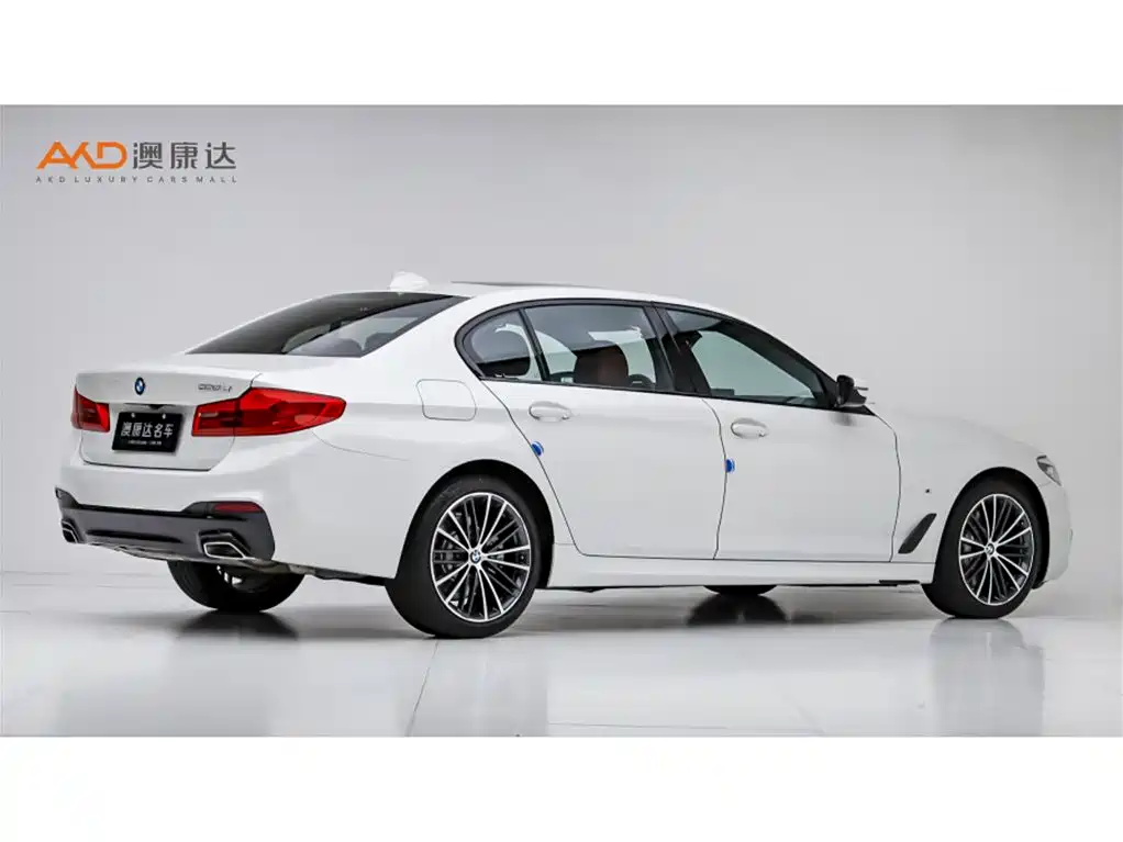 BMW 5 Series 5 2019 530Li Lead M Sport