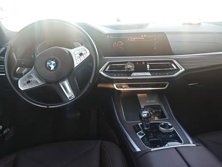 BMW X5 — миниатюра 12