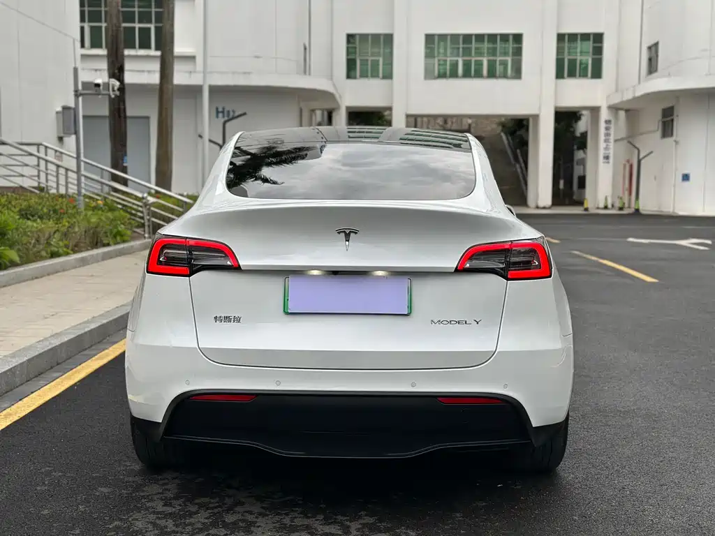 Tesla Model Y — миниатюра 5