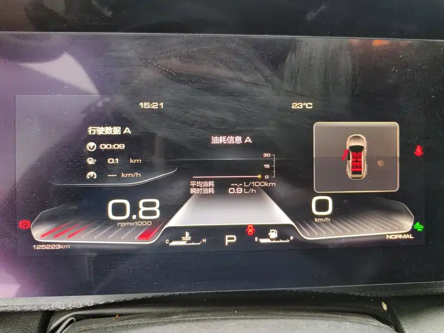 Haval Big Dog — миниатюра 14