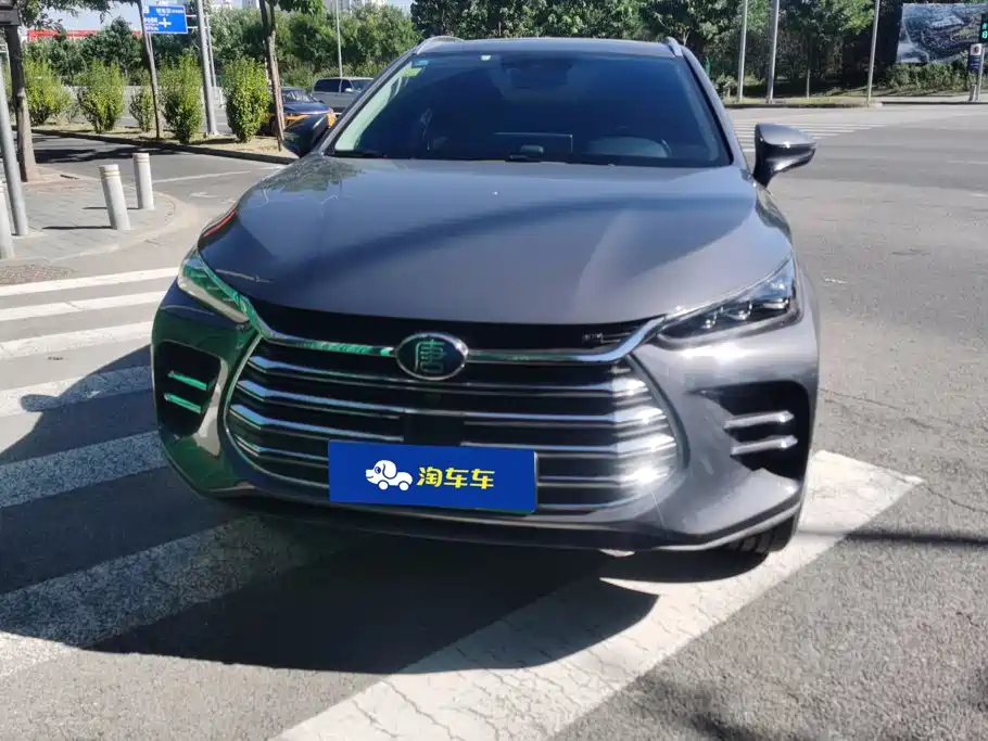 BYD Tang New Energy — миниатюра 2