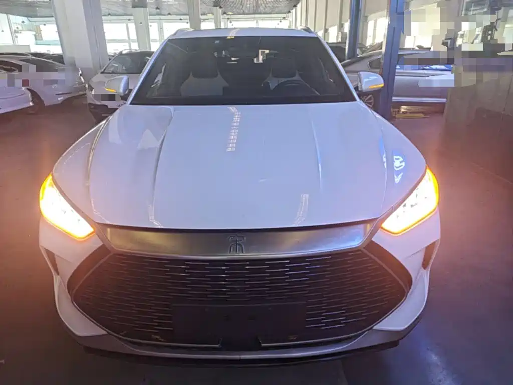 BYD PLUS New Energy — миниатюра 3