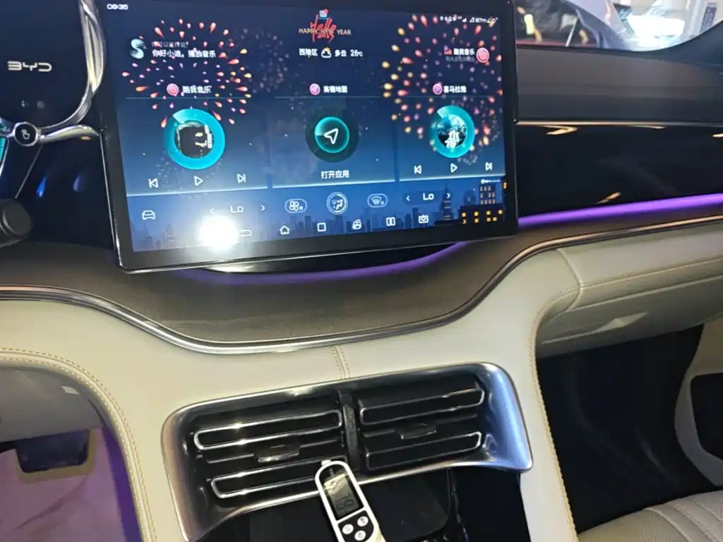 BYD PLUS New Energy — миниатюра 13