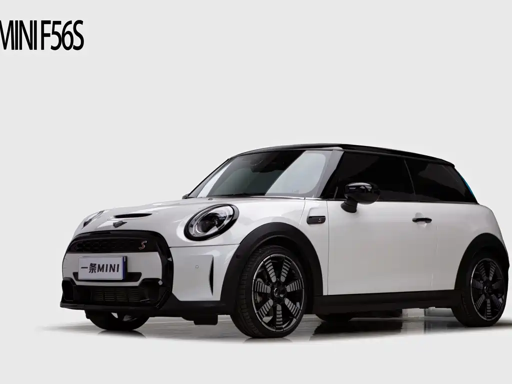 Mini Mini 2023