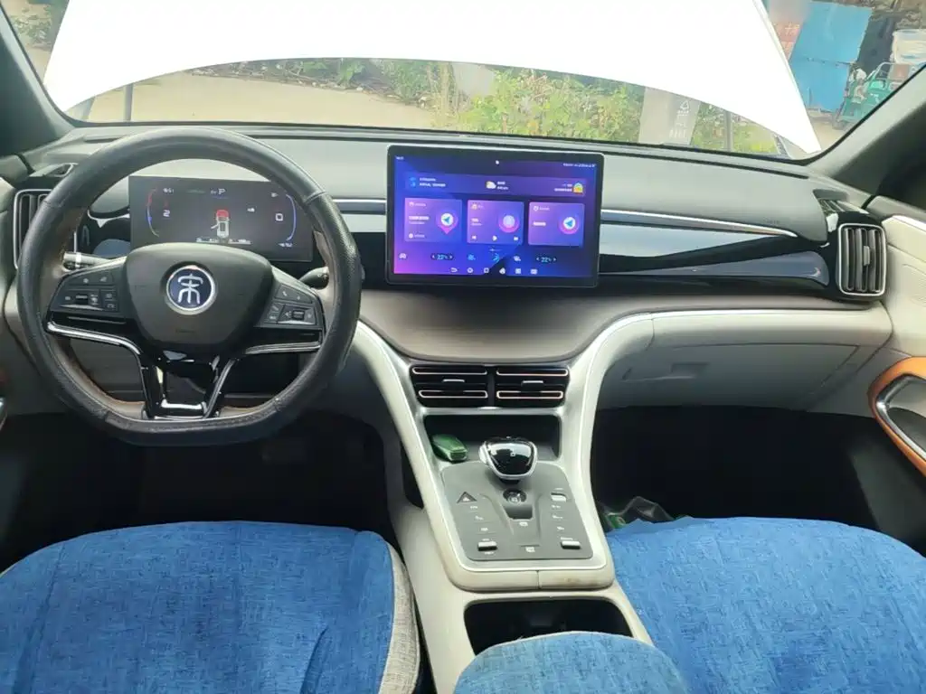 BYD Pro New Energy — миниатюра 10
