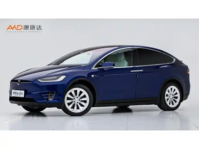 TESLA MODEL X 2017