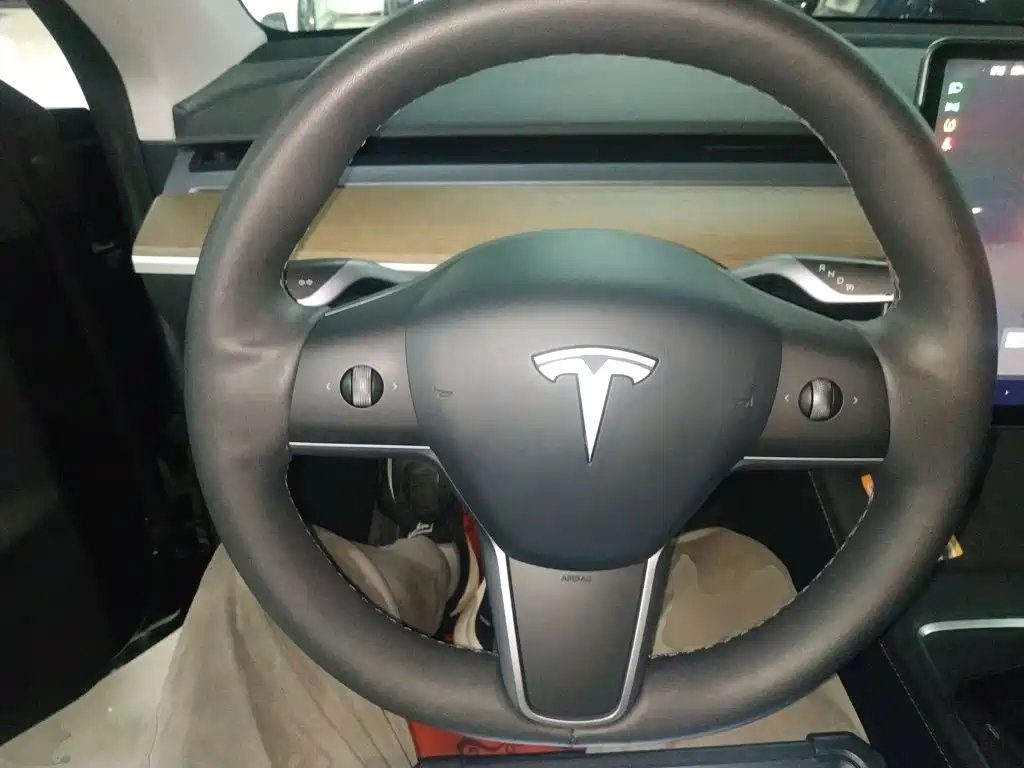 Tesla Model Y — миниатюра 11