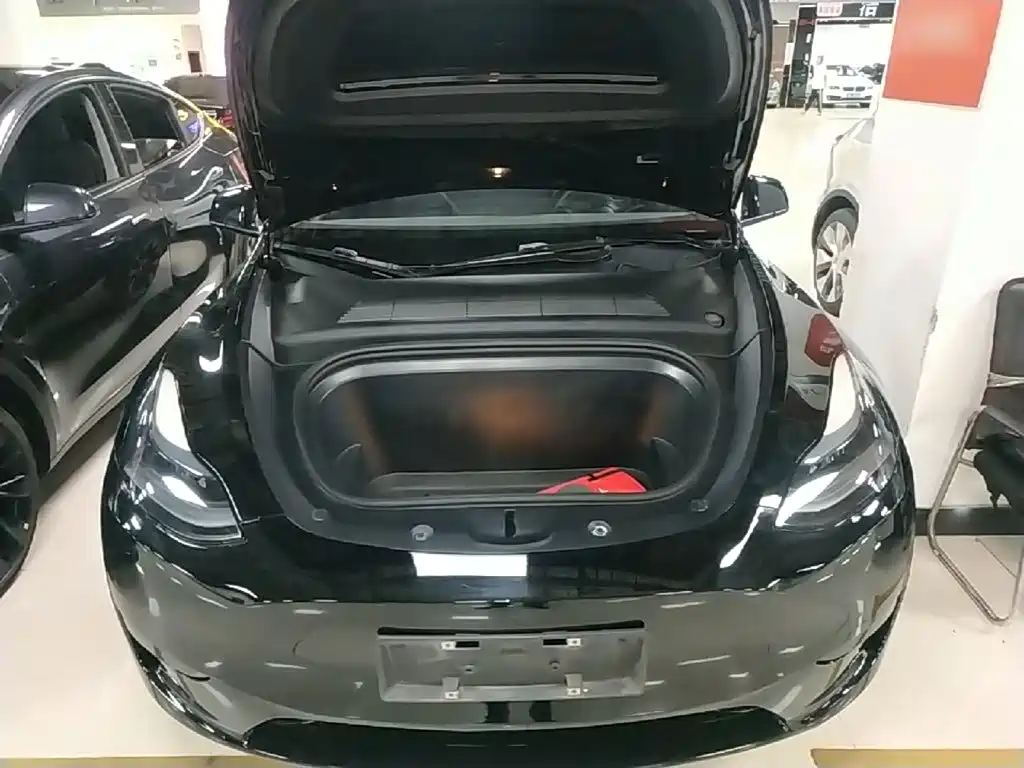 Tesla Model Y — миниатюра 20
