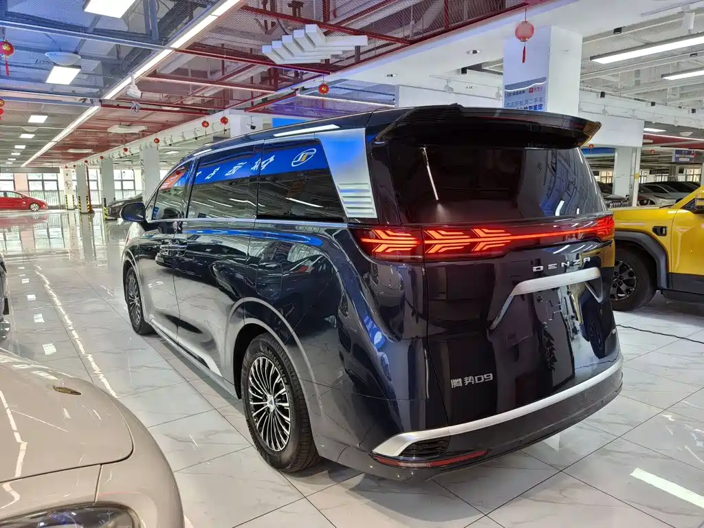 Denza Denza D9 — миниатюра 5
