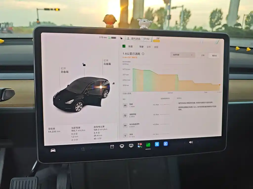 Tesla Model Y — миниатюра 12