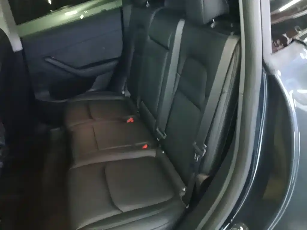 Tesla Model Y — миниатюра 17