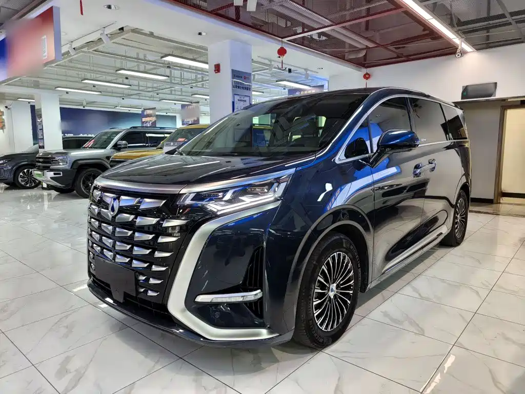 Denza Denza D9