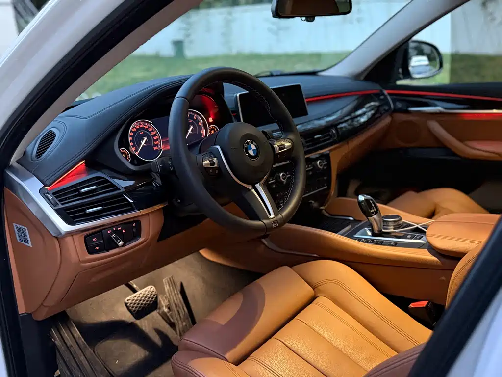 BMW X6 — миниатюра 4