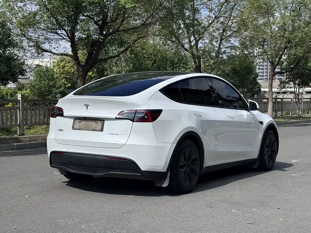 Tesla Model Y — миниатюра 7