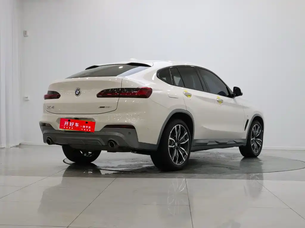 BMW X4 2019 xDrive25i M