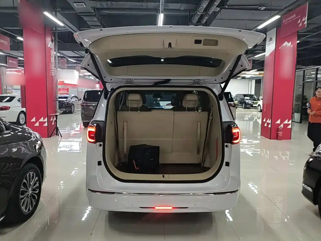 Buick GL8 — миниатюра 19