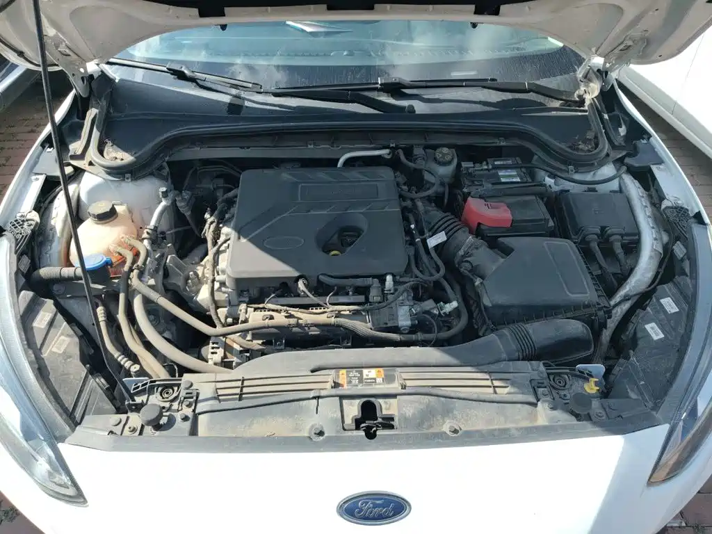 Ford Focus Active — миниатюра 16