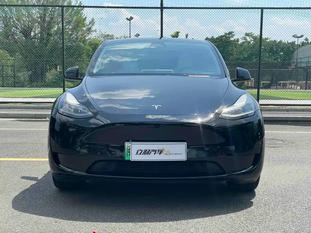 Tesla Model Y — миниатюра 2