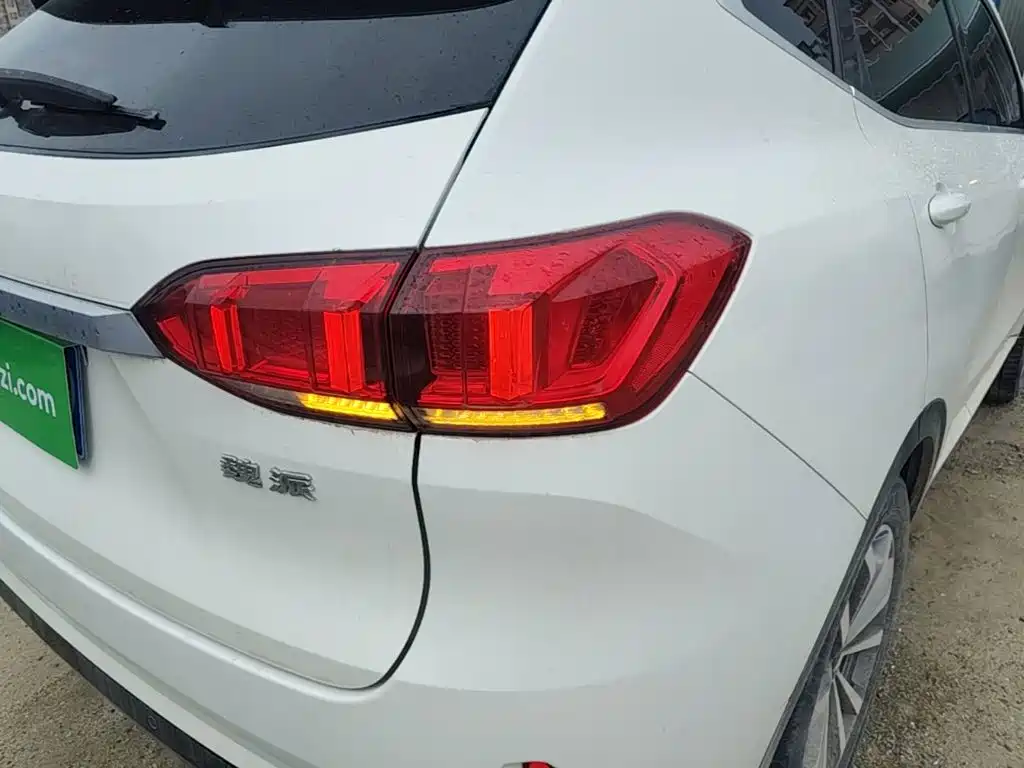 Wey Wey VV6 — миниатюра 8