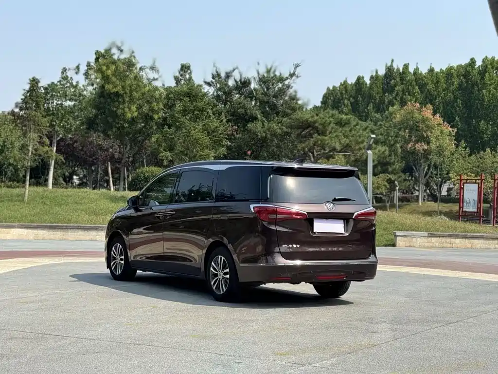 Buick GL8 — миниатюра 5