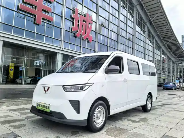 2024 Wuling Motors Yangguang